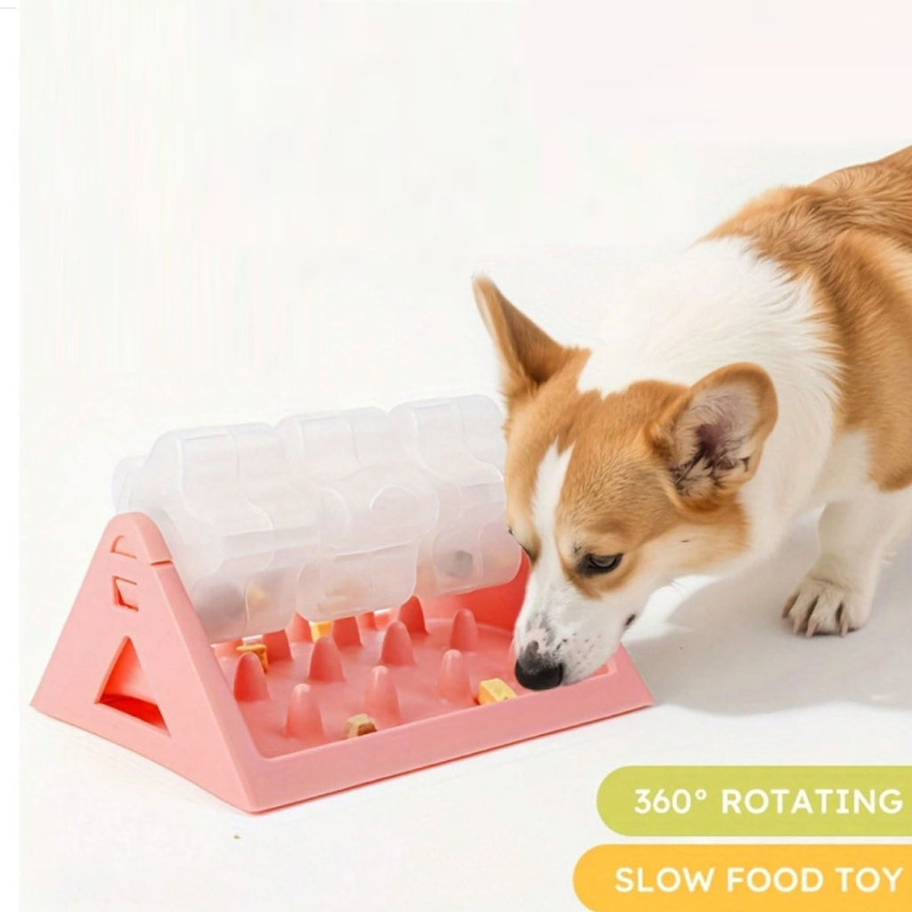 Corgi eating from a pink rotating slow feeder