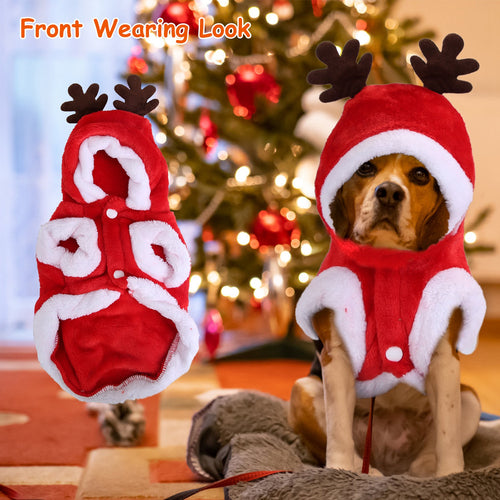 Front view of red Santa dog hoodie with antlers on a dog by a Christmas tree