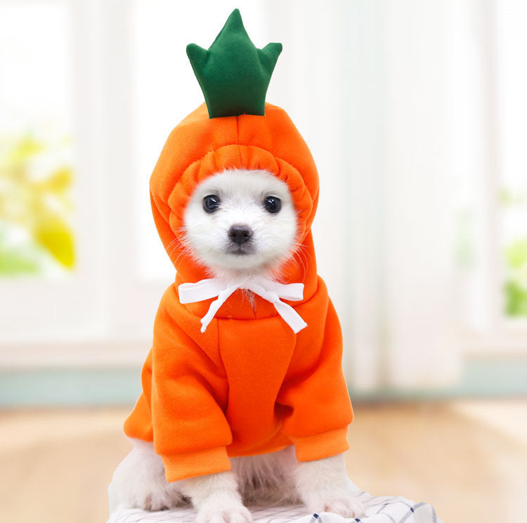 Small dog wearing a cute fruit-style fleece hoodie