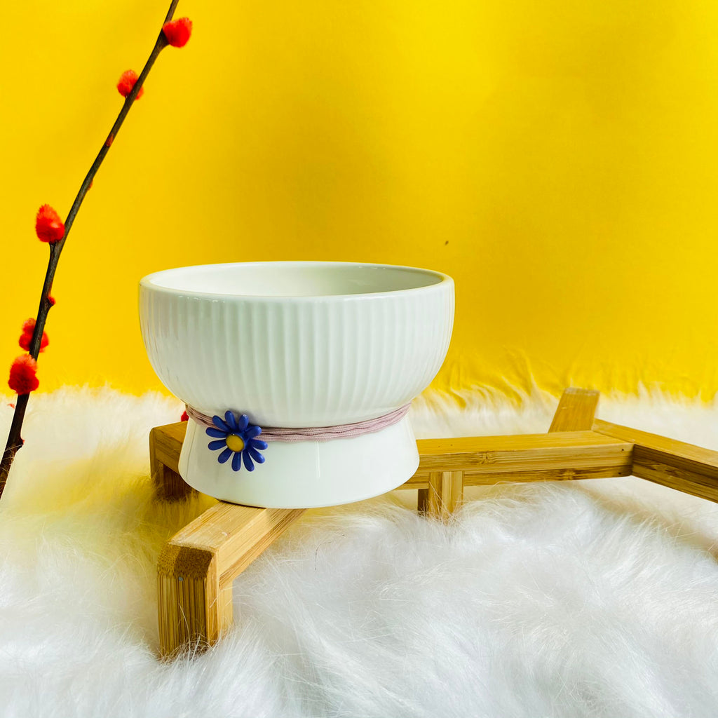 Simple Footed Ceramic Water Bowl for Cats & Small Dogs
