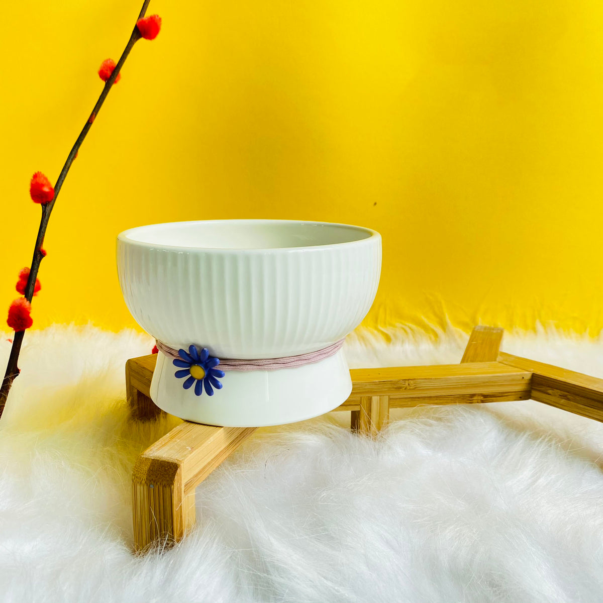 Simple Footed Ceramic Water Bowl for Cats & Small Dogs