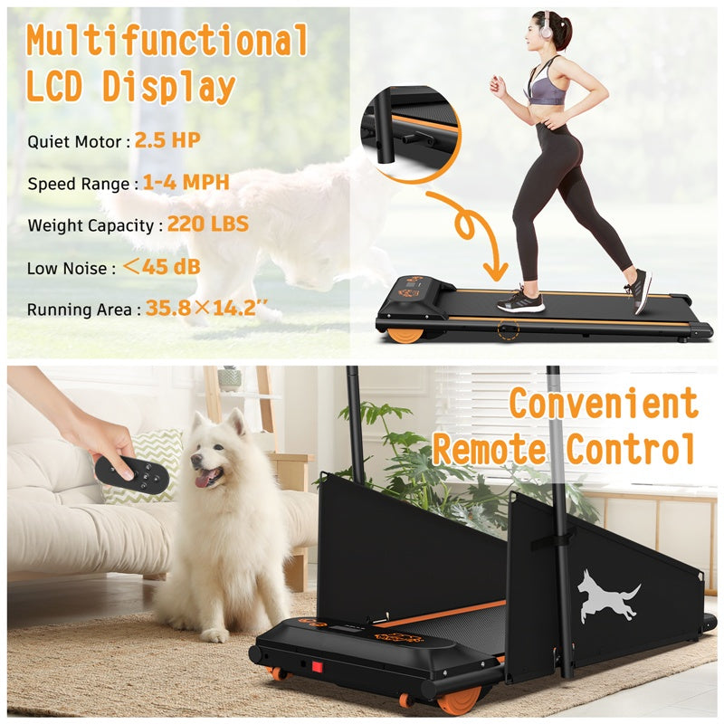 Dog treadmill display and remote control, with a Samoyed nearby