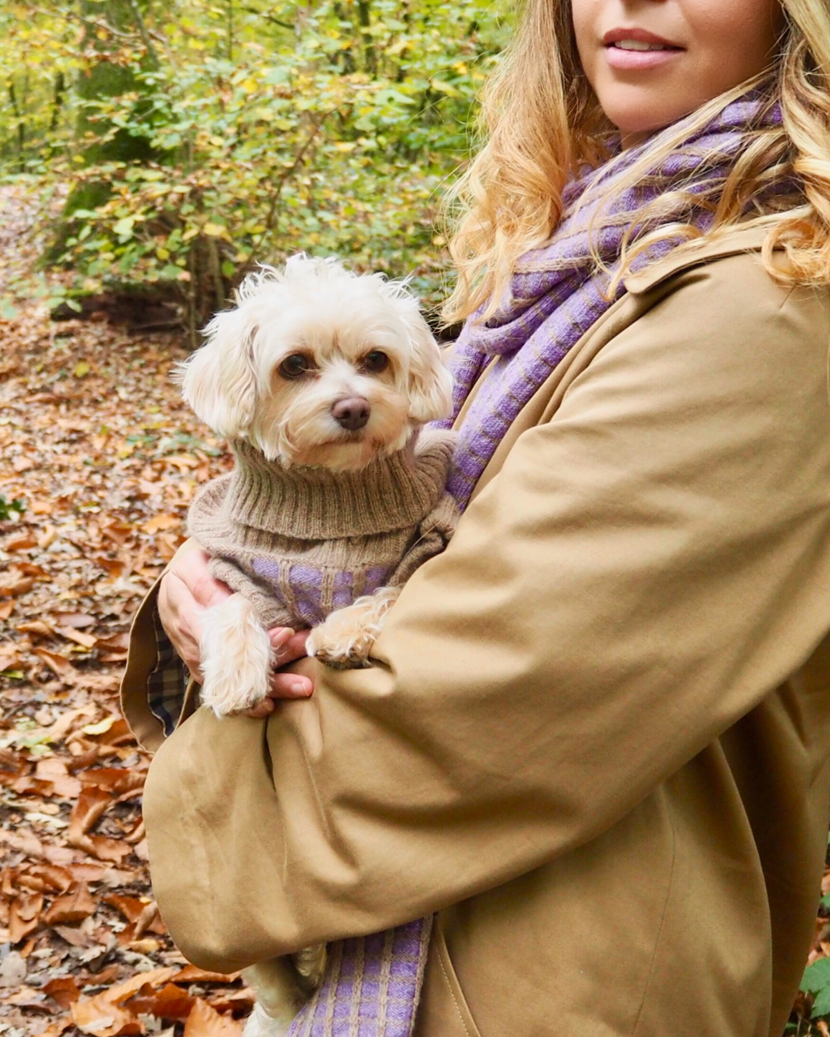 Woman with a purple scarf holding a small cream dog in a matching merino jumper