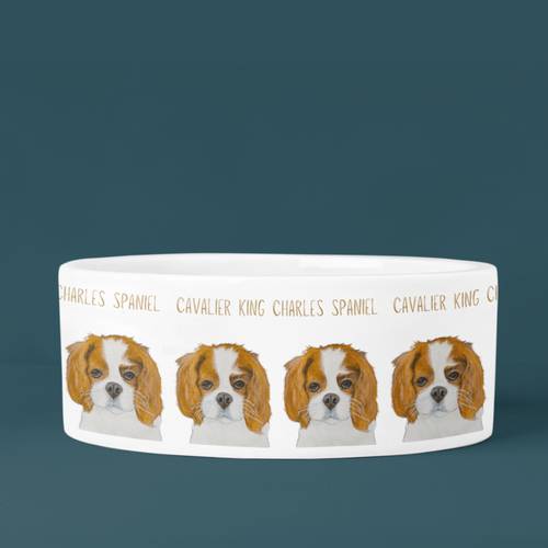 White ceramic dog bowl with Cavalier King Charles Spaniel portraits and gold breed lettering on a teal background