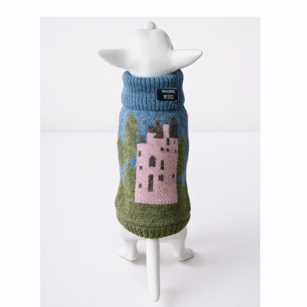 Pink castle British wool dog jumper on a white mannequin, back view