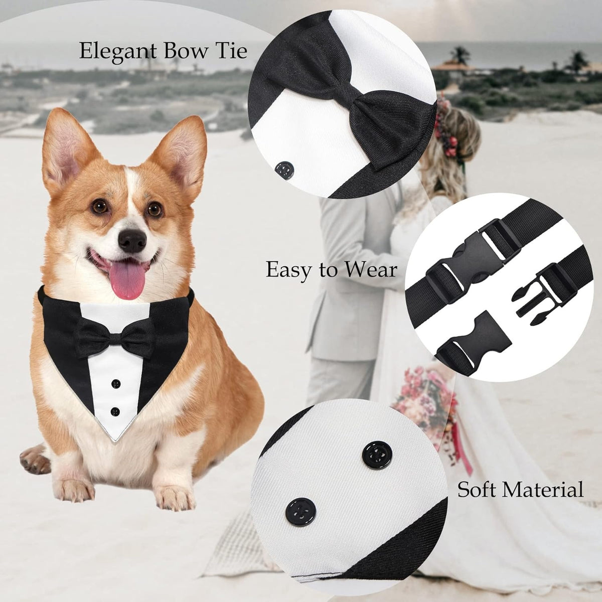 Corgi wearing the tuxedo bandana, with close-ups of bow tie and buckle