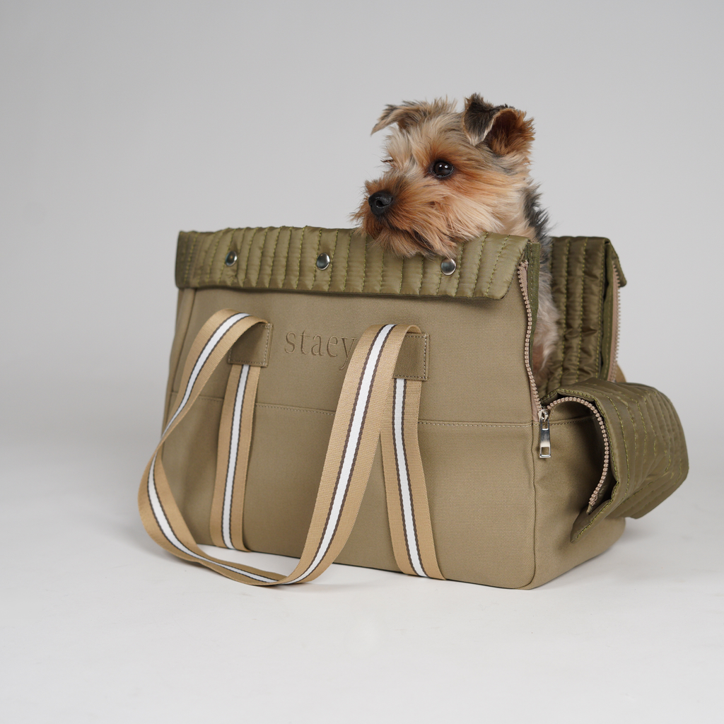 Yorkshire terrier sitting inside the taupe canvas carrier bag