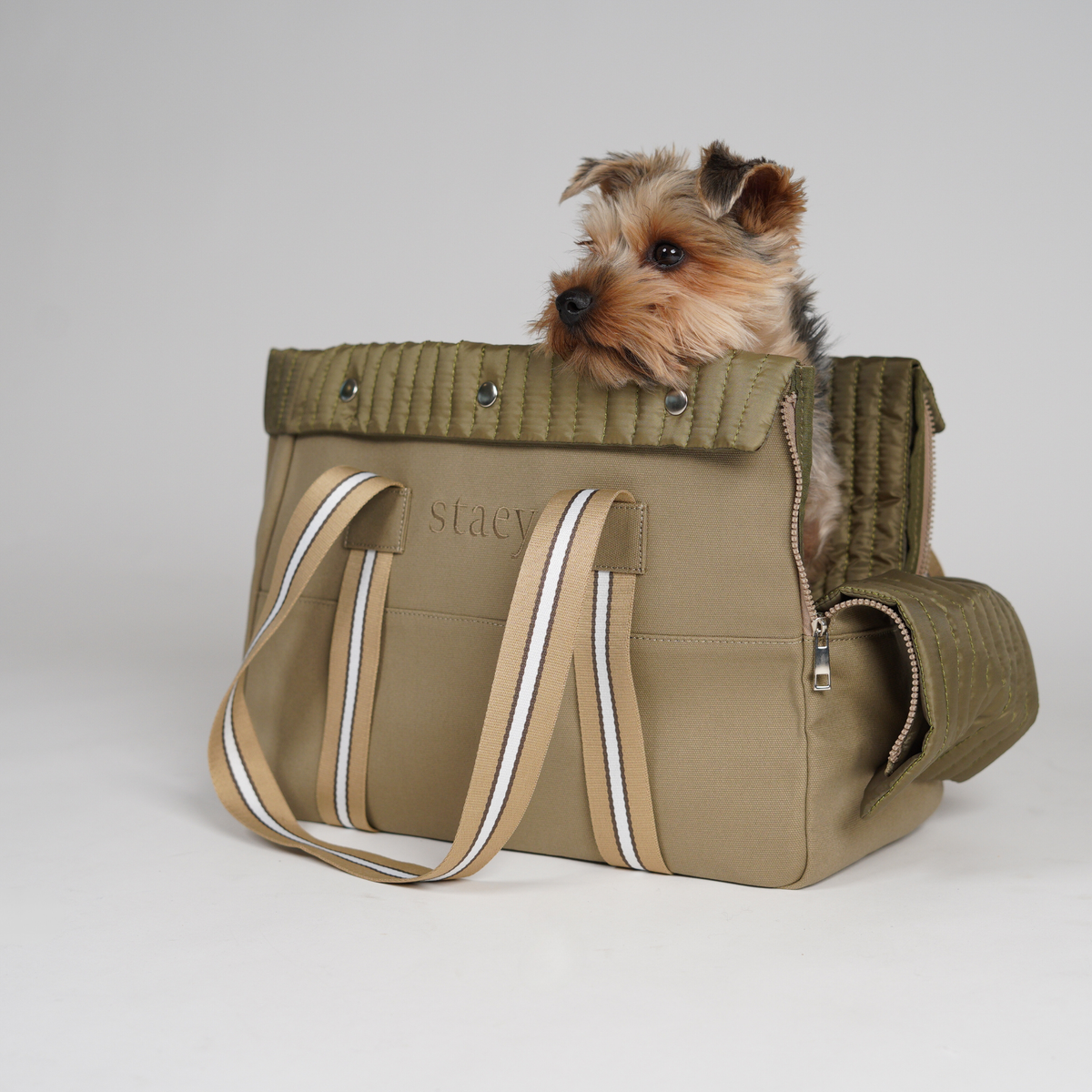 Yorkshire terrier sitting inside the taupe canvas carrier bag