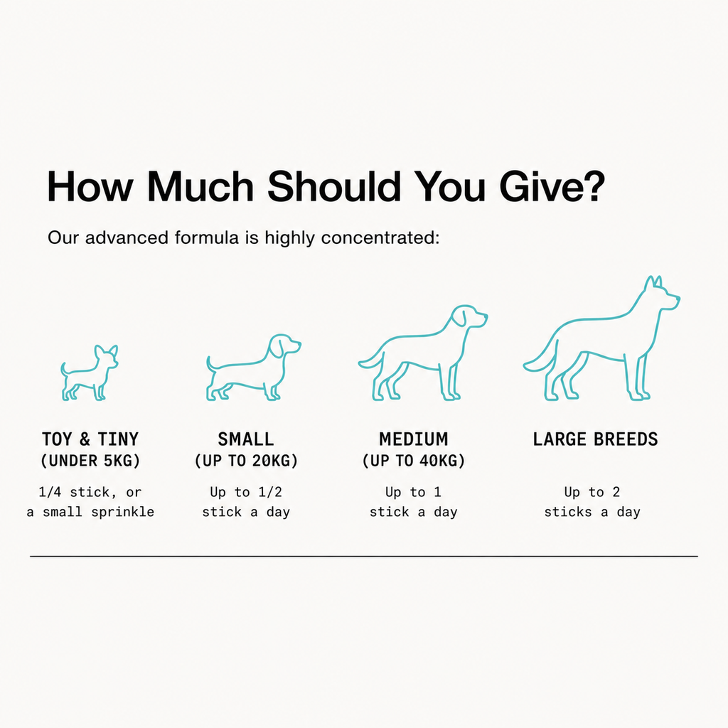Serving guide by dog size from toy to large breeds