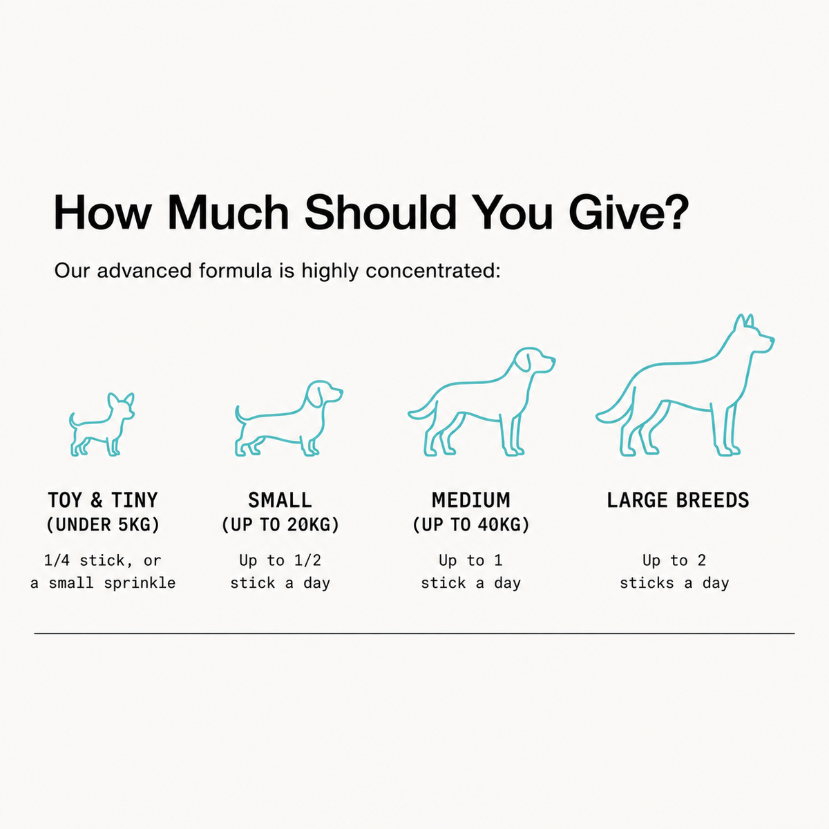Serving guide by dog size from toy to large breeds