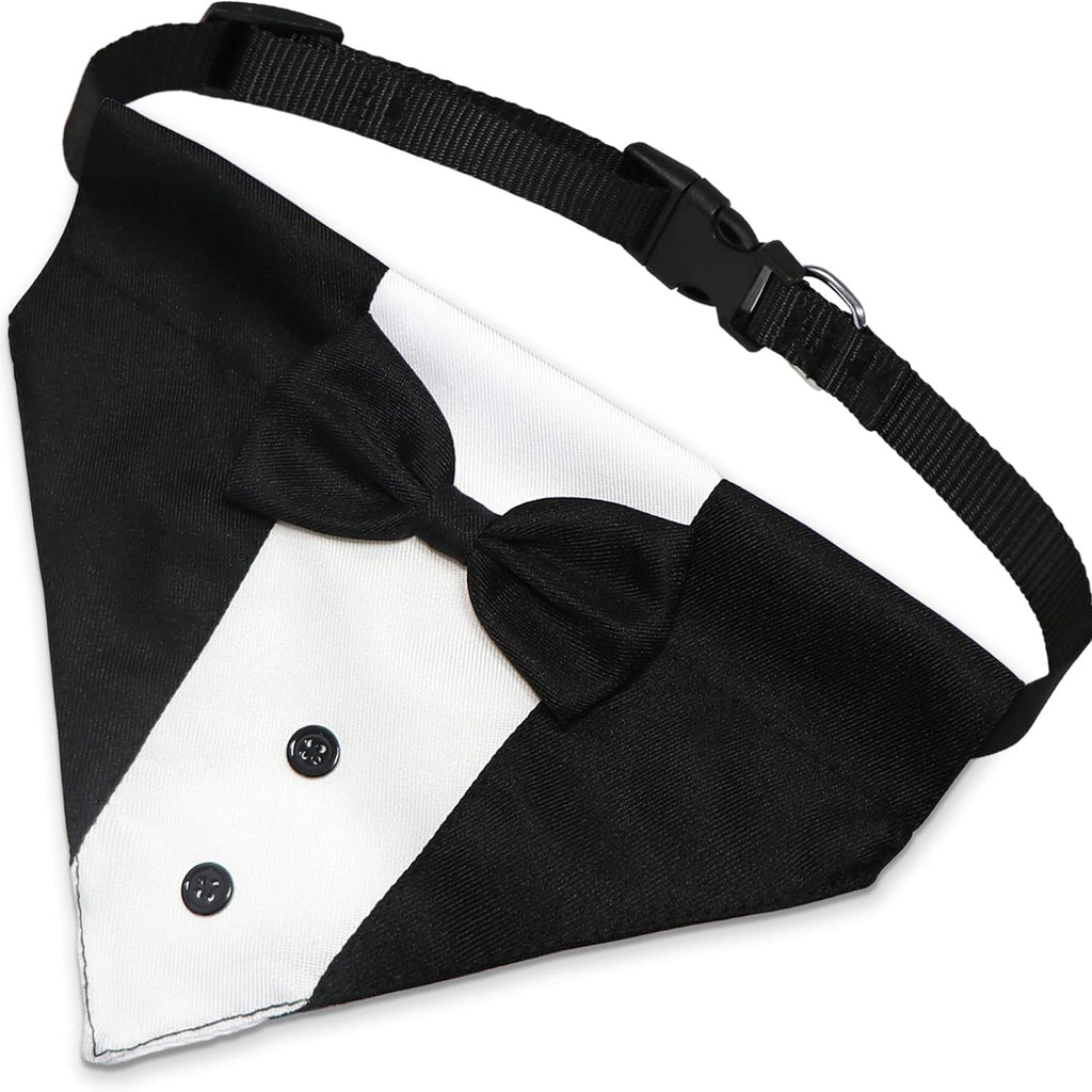 Black tuxedo bandana collar with bow tie and white shirt front