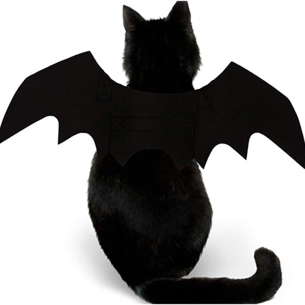 Pet bat wings costume for cats and small dogs