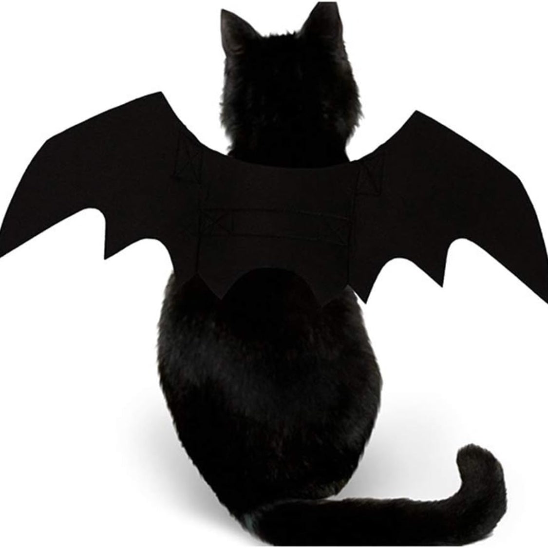 Pet bat wings costume for cats and small dogs