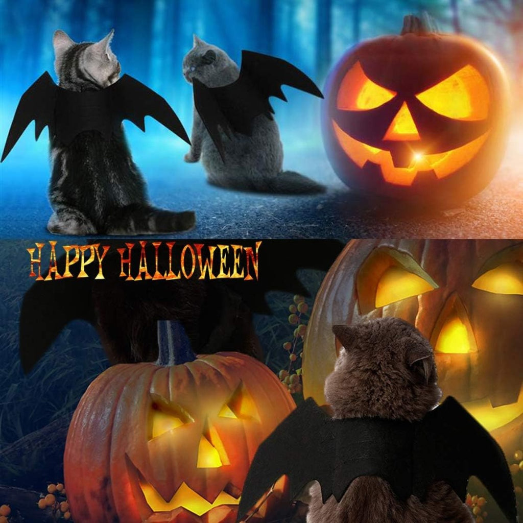 Halloween bat wings for pets with adjustable straps