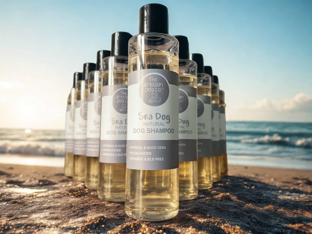 Gentle Oatmeal & Aloe Dog Shampoo – Handmade, pH-Balanced (200ml / 6.8 oz)