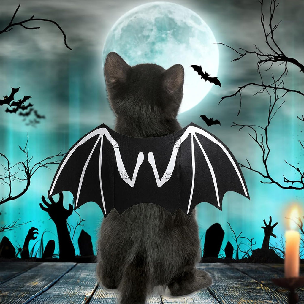 Black cat wearing skeleton bat wings under a full moon