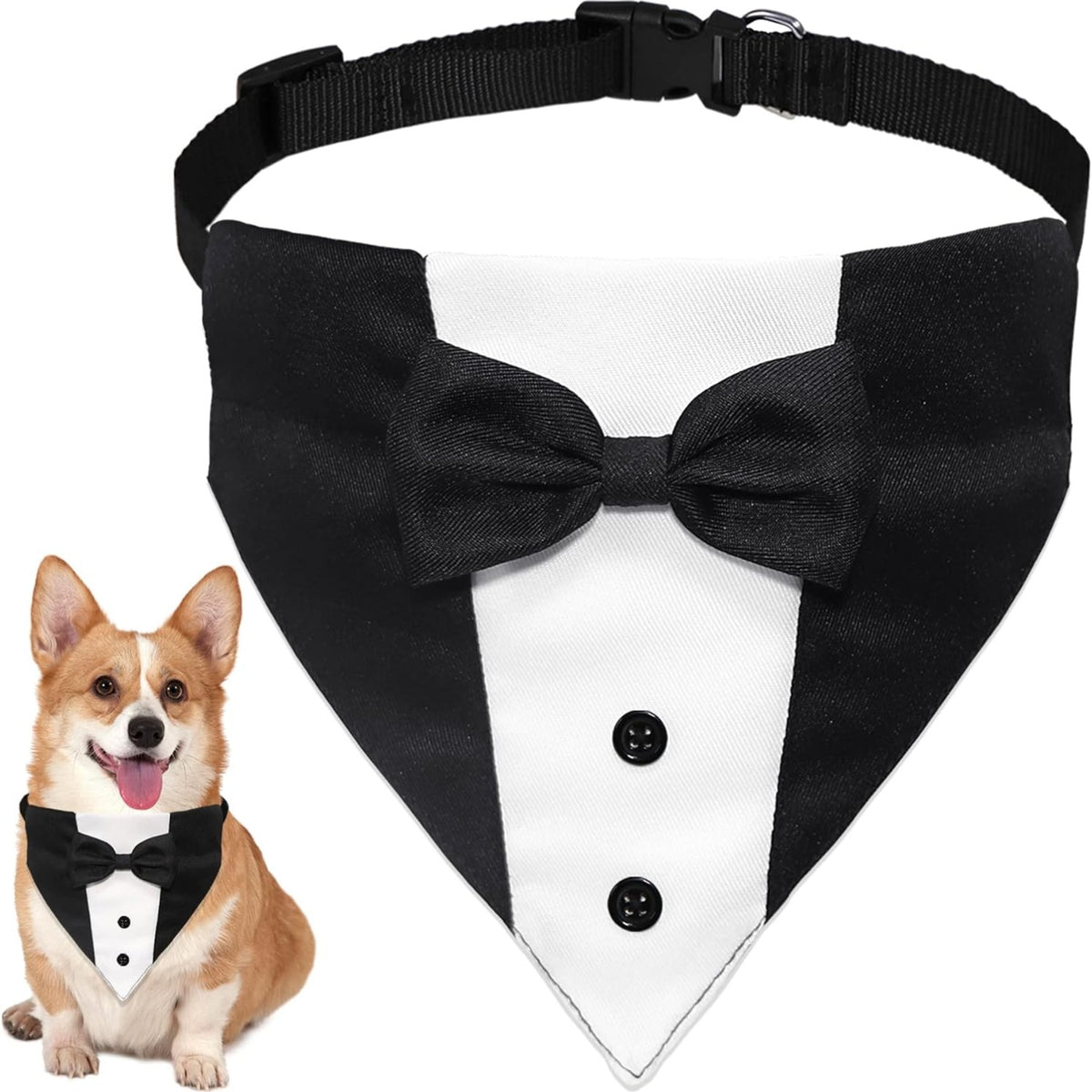 Black and white tuxedo bandana with bow tie on a black collar, worn by a corgi