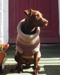 Brown dog in a burgundy check merino jumper in front of a red door