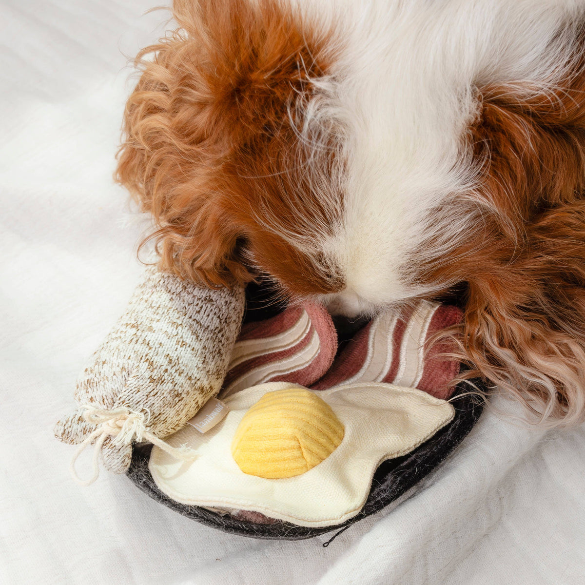 Squeaky sausage and crinkly bacon dog toy pieces