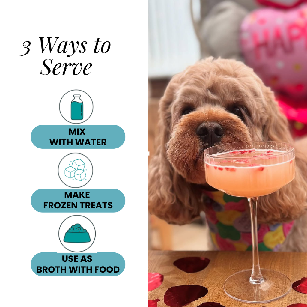 Three ways to serve beside a curly-coated dog with a pink drink in a coupe glass