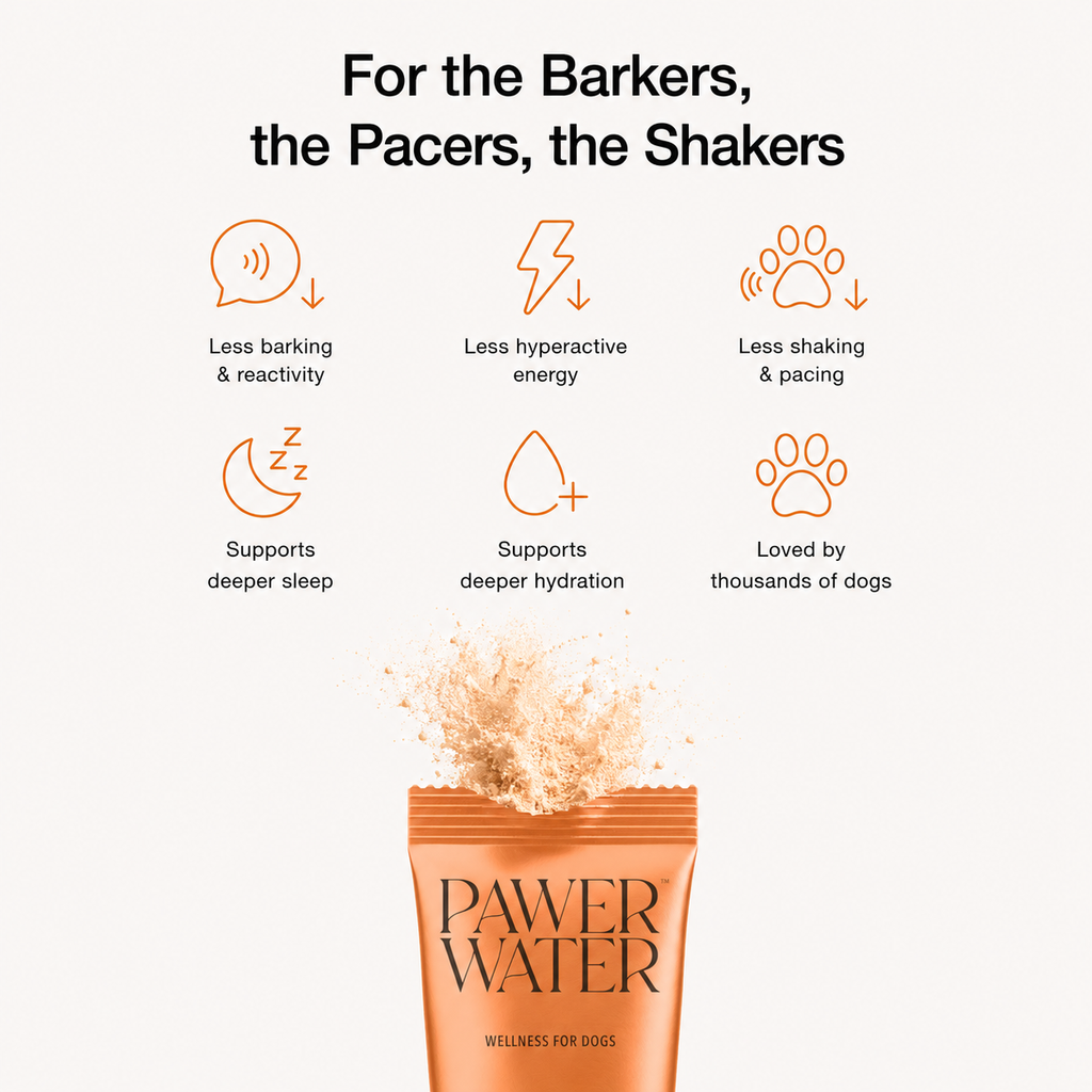 Supplier infographic with icons above an orange Pawer Water pouch with powder burst