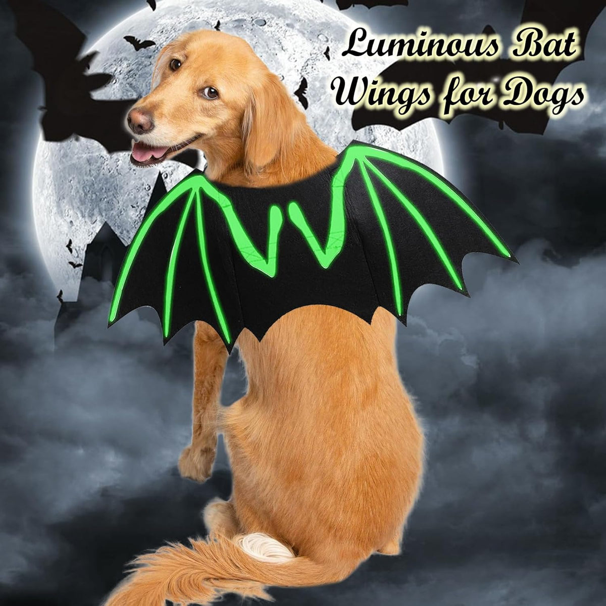 Golden Retriever's bat wings glowing green in the dark