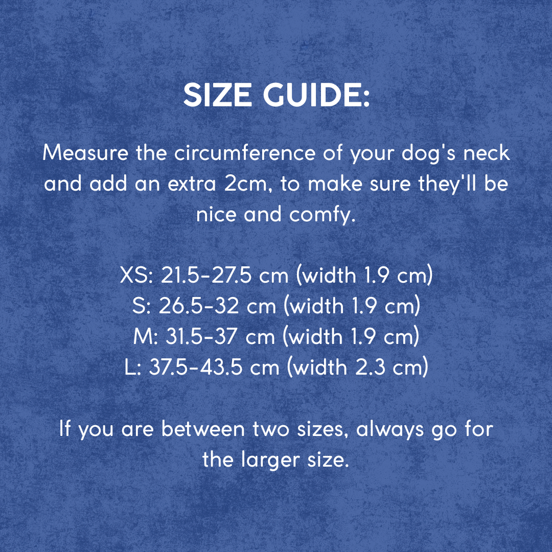 Star collar size guide: XS 21.5-27.5cm, S 26.5-32cm, M 31.5-37cm, L 37.5-43.5cm