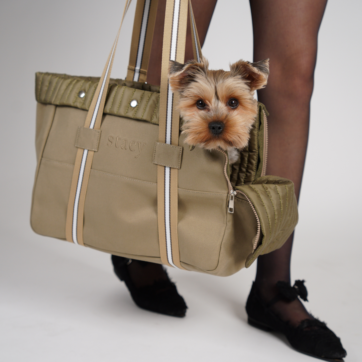Yorkshire terrier peeking out of the taupe dog carrier bag carried on the shoulder
