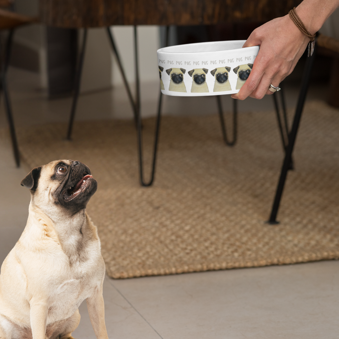 Fawn pug looking up as a hand lowers the white pug-print ceramic dog bowl in a home setting