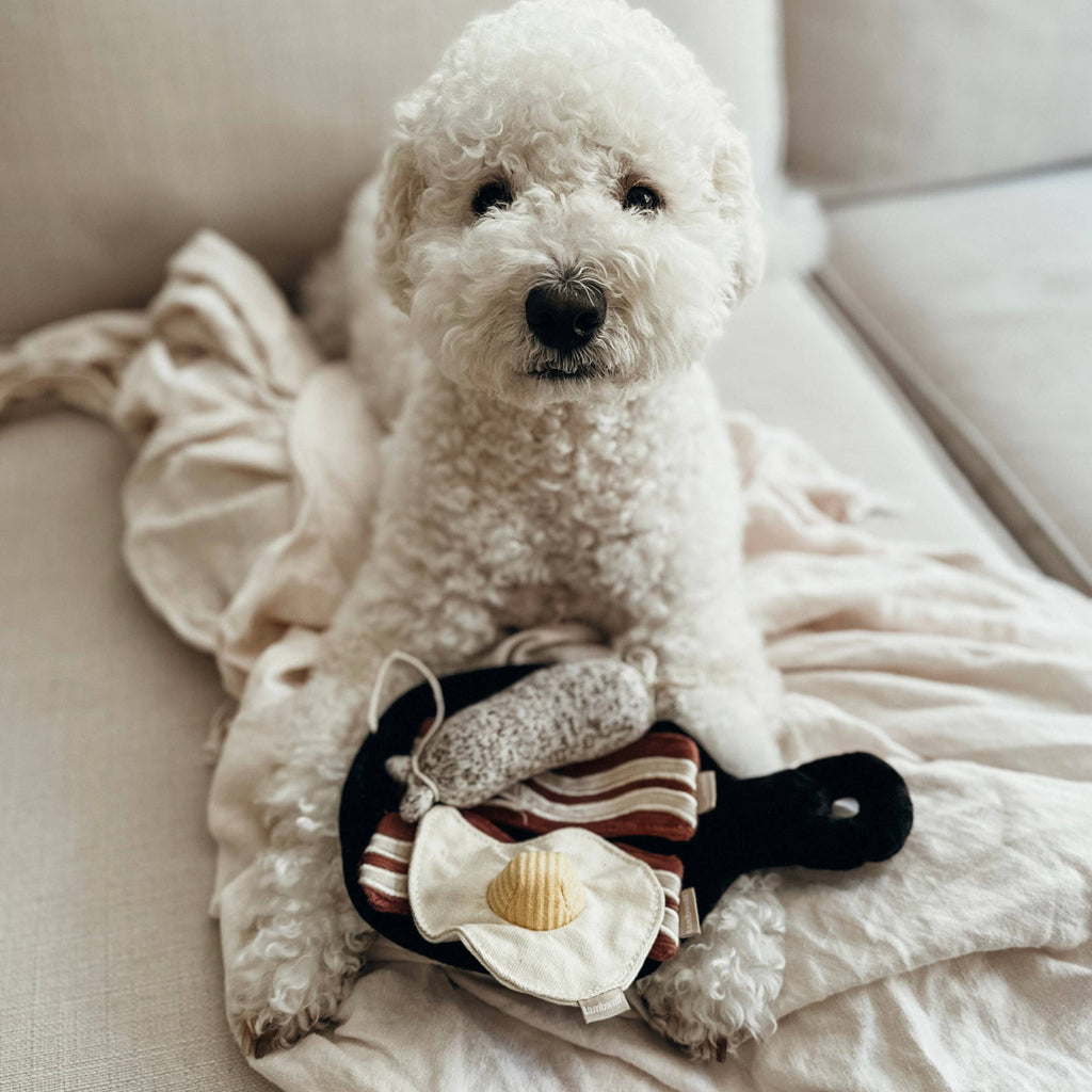 Dog playing with breakfast snuffle enrichment toy