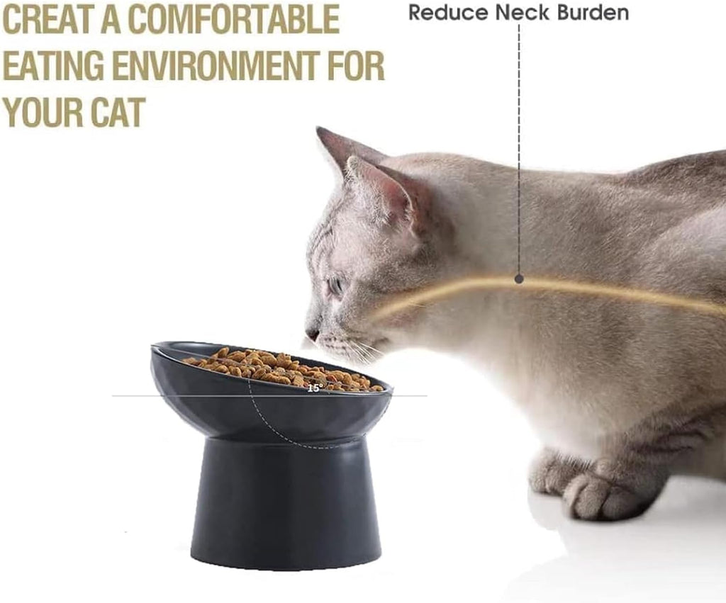 Grey cat eating from the black raised ceramic bowl