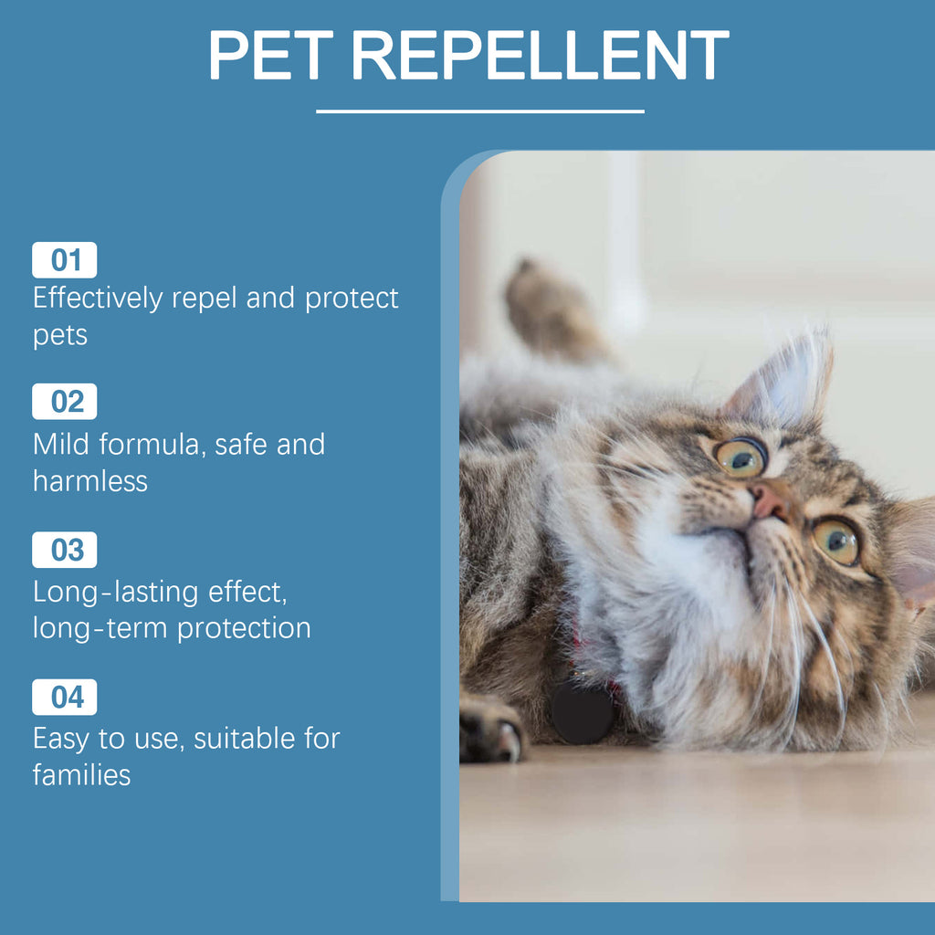 Tabby cat lying on the floor beside a product information panel