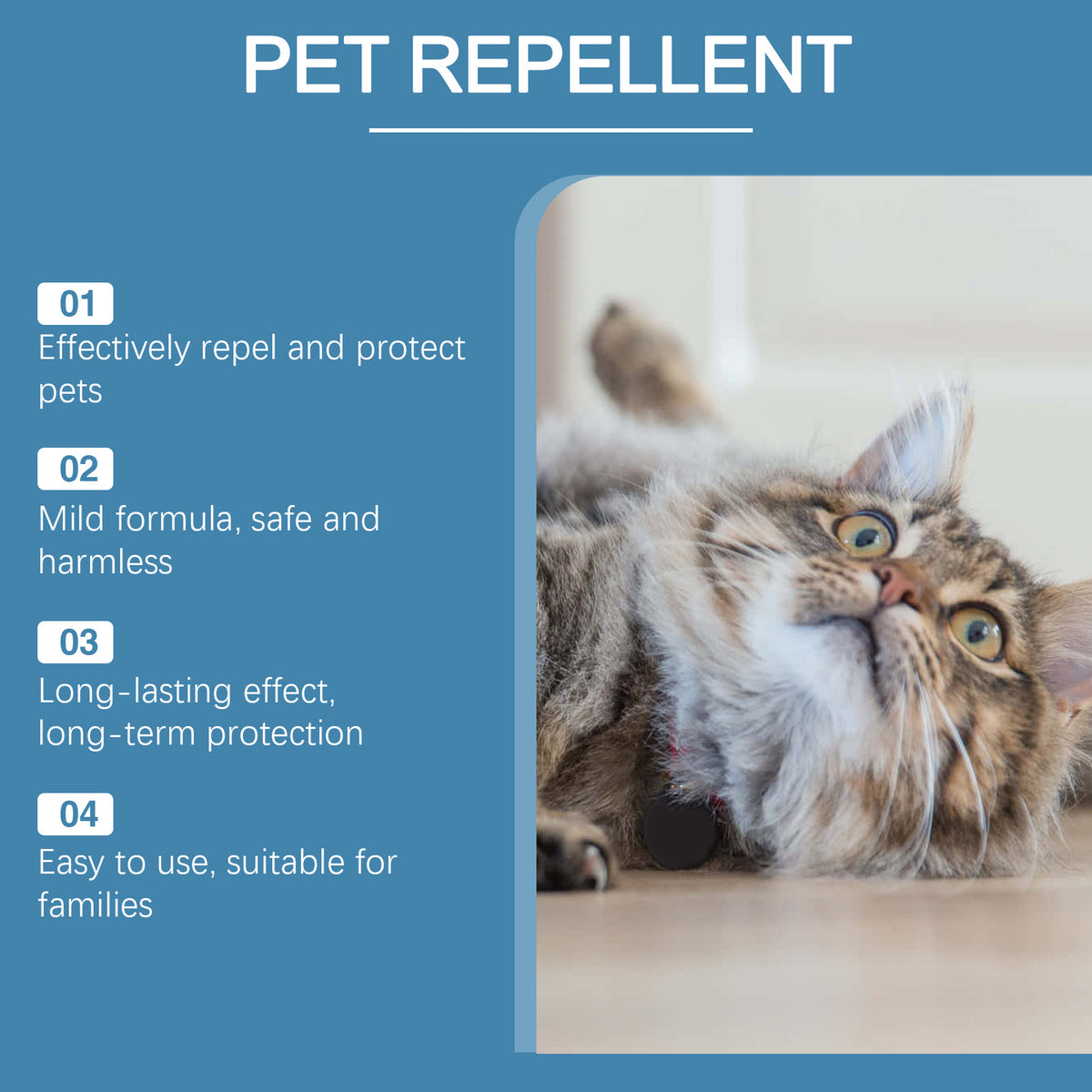Tabby cat lying on the floor beside a product information panel