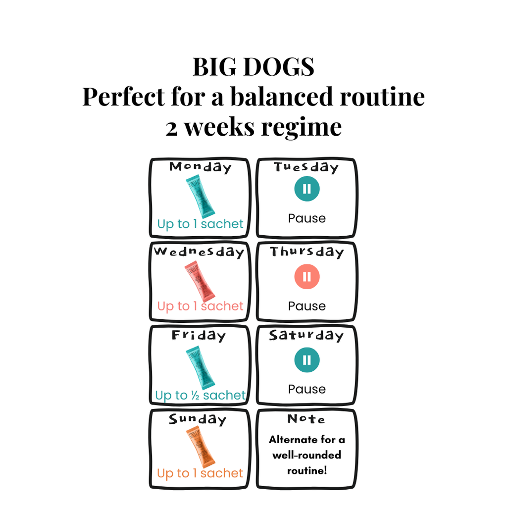 Weekly serving calendar for big dogs, alternating formulas