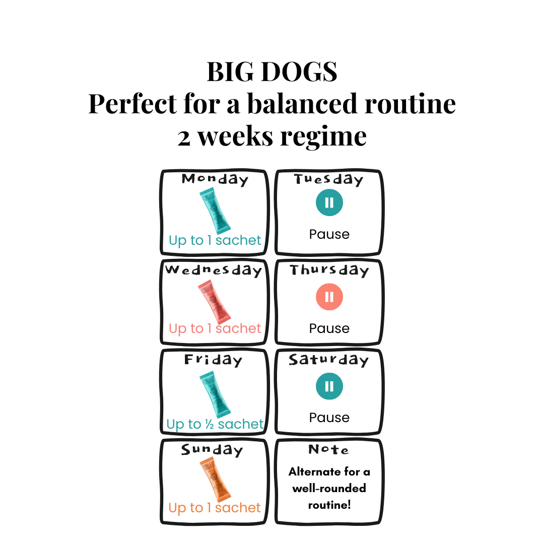 Weekly serving calendar for big dogs, alternating formulas