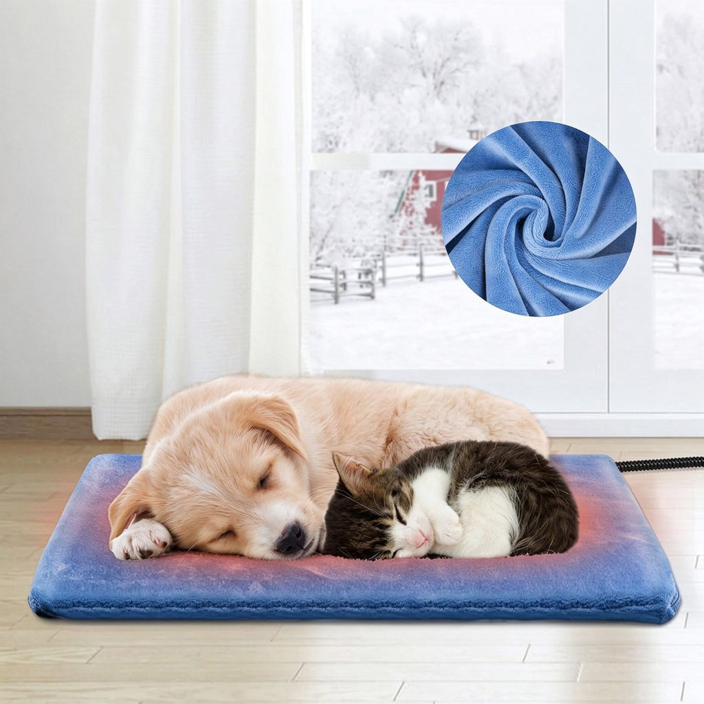 Puppy and kitten sleeping together on a blue heated pet pad