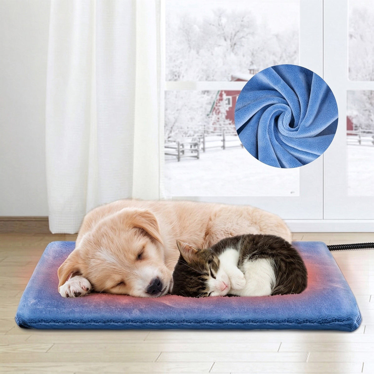 Puppy and kitten sleeping together on a blue heated pet pad