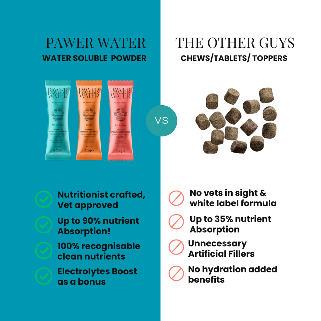 Supplier comparison chart: Pawer Water powder sticks versus chews and tablets
