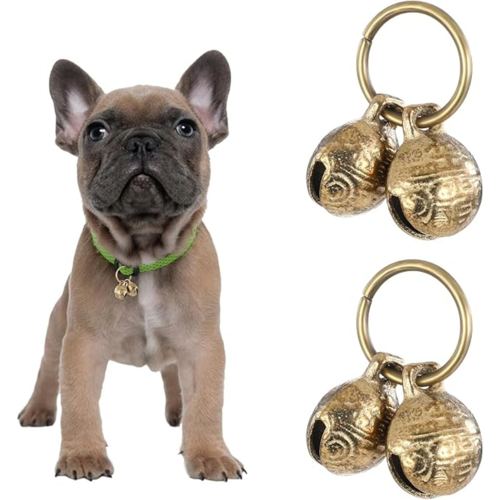 French bulldog puppy wearing a brass bell on a green collar, beside two pairs of bells