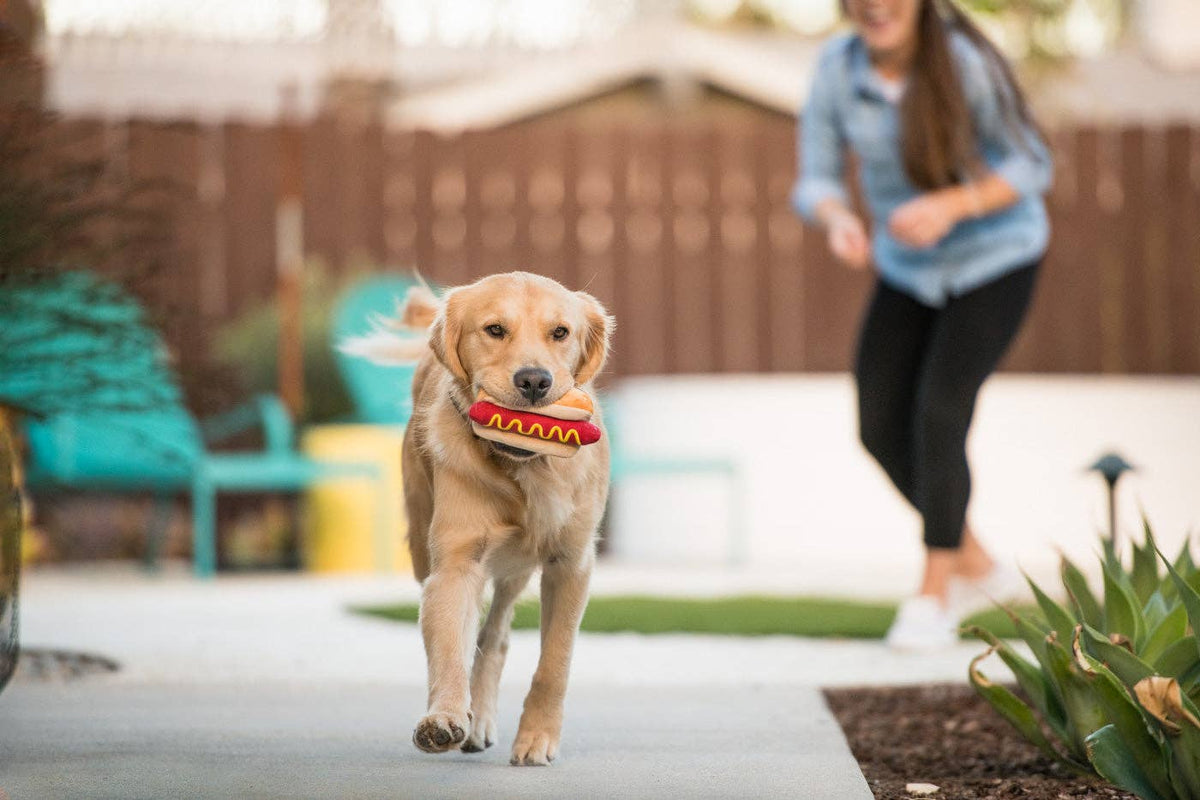 Golden retriever carrying the plush hot dog toy across a garden