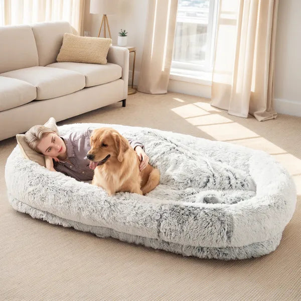 Woman resting with a golden retriever on a grey giant bed in a sunny room
