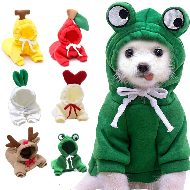 Small dog wearing a cute fruit-style fleece hoodie