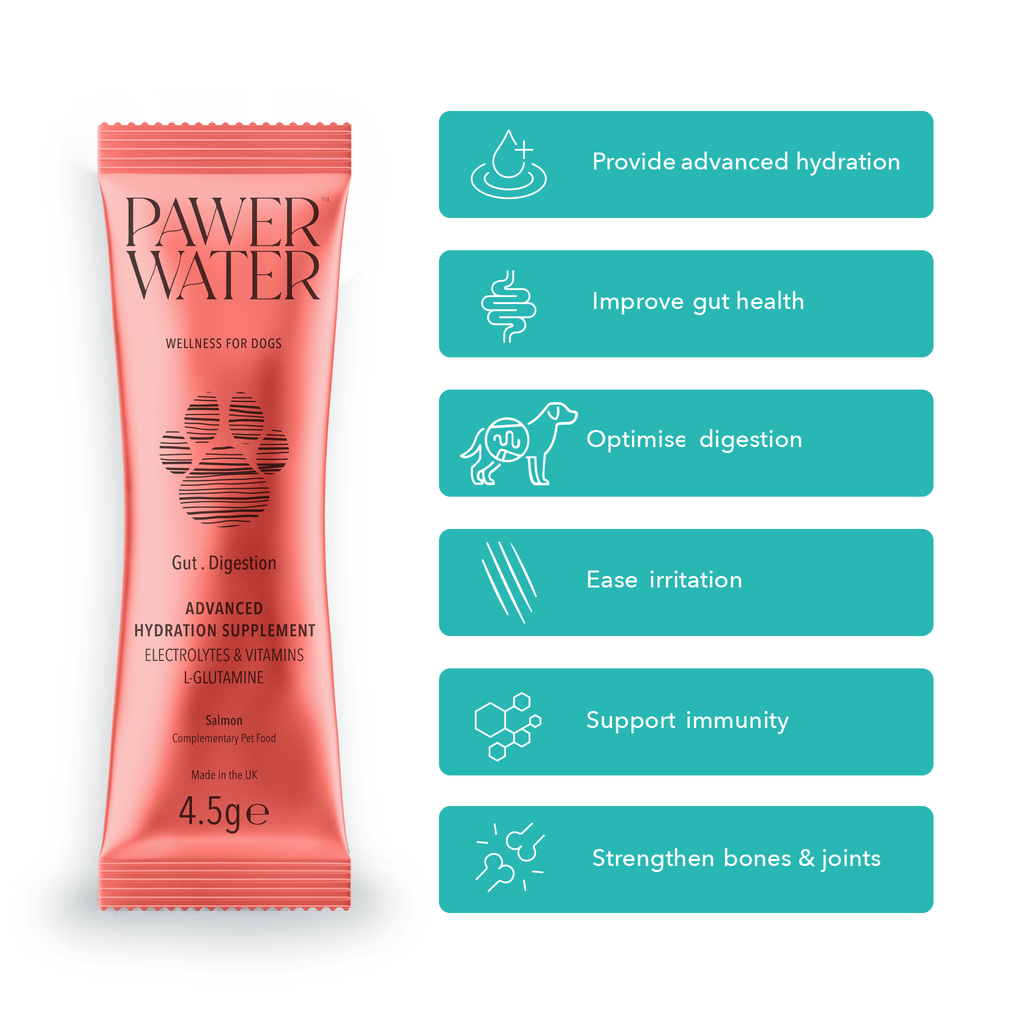 Coral Pawer Water Gut stick with supplier feature icons