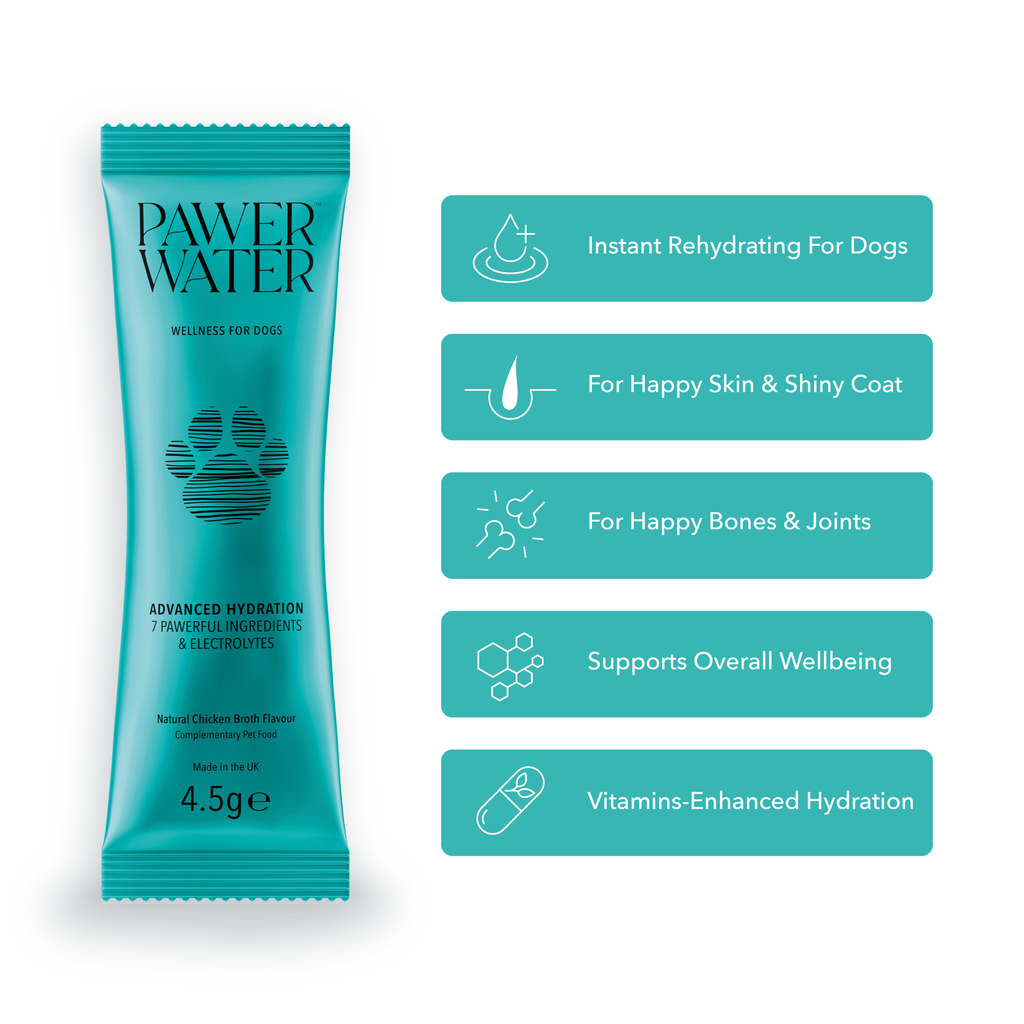 Teal Pawer Water Mobility & Glow stick with supplier feature icons