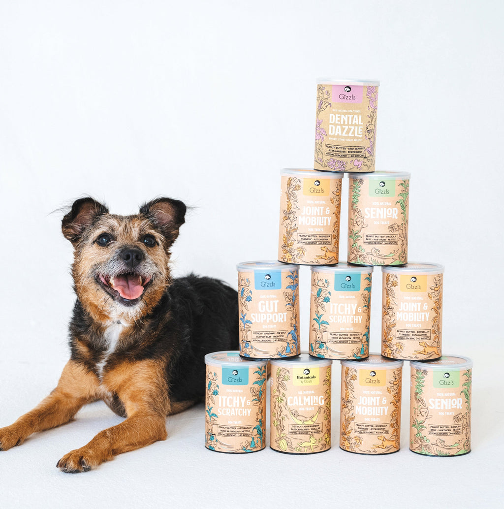 Smiling scruffy terrier lying beside a stacked pyramid of Gizzls tins from The Wellness Bundle