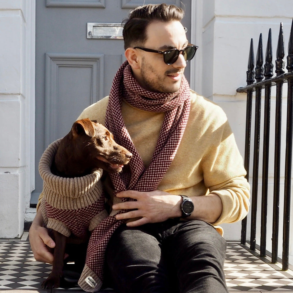 Man in a burgundy wool scarf sitting on steps with a dachshund in a matching jumper
