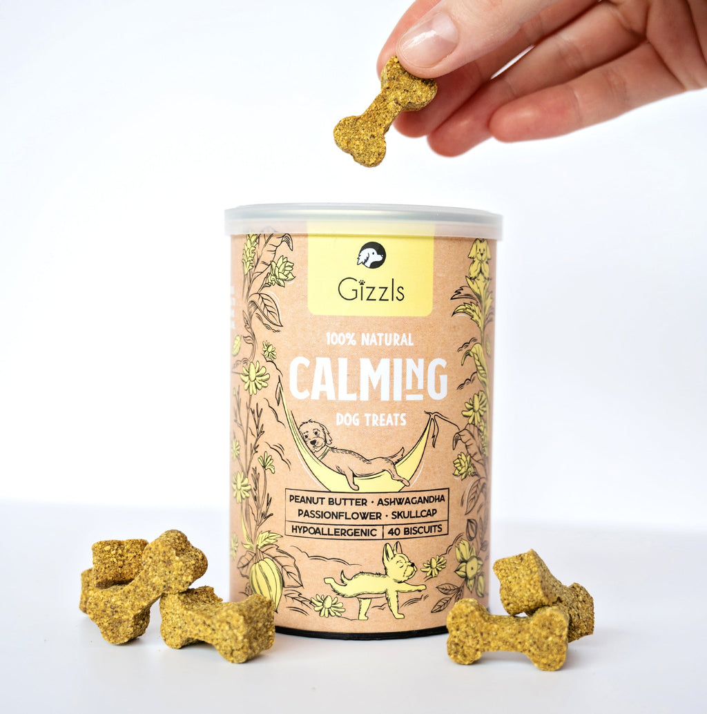 Hand dropping a biscuit into a Gizzls Calming tin with yellow bone biscuits, from The Wellness Bundle