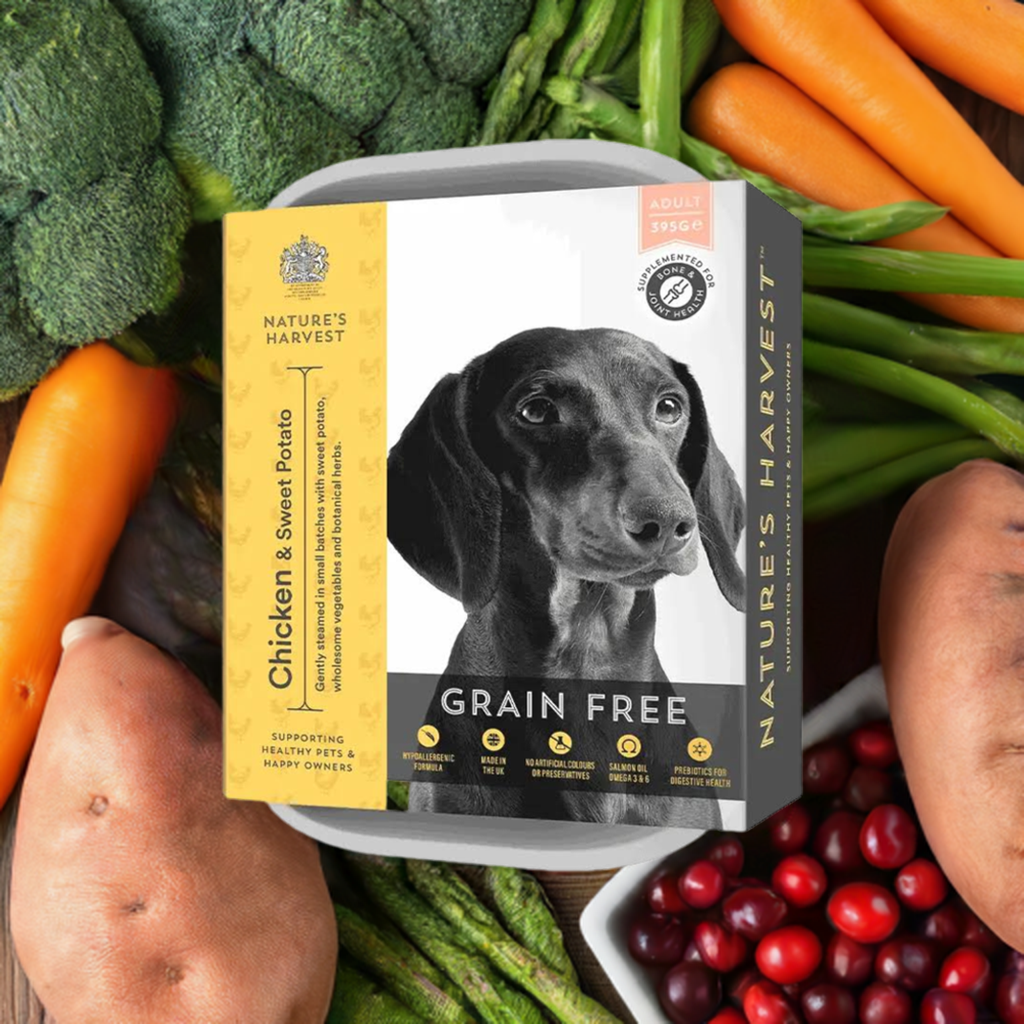Nature's Harvest Grain Free Chicken & Sweet Potato yellow tray with dachshund, sweet potatoes, carrots and broccoli