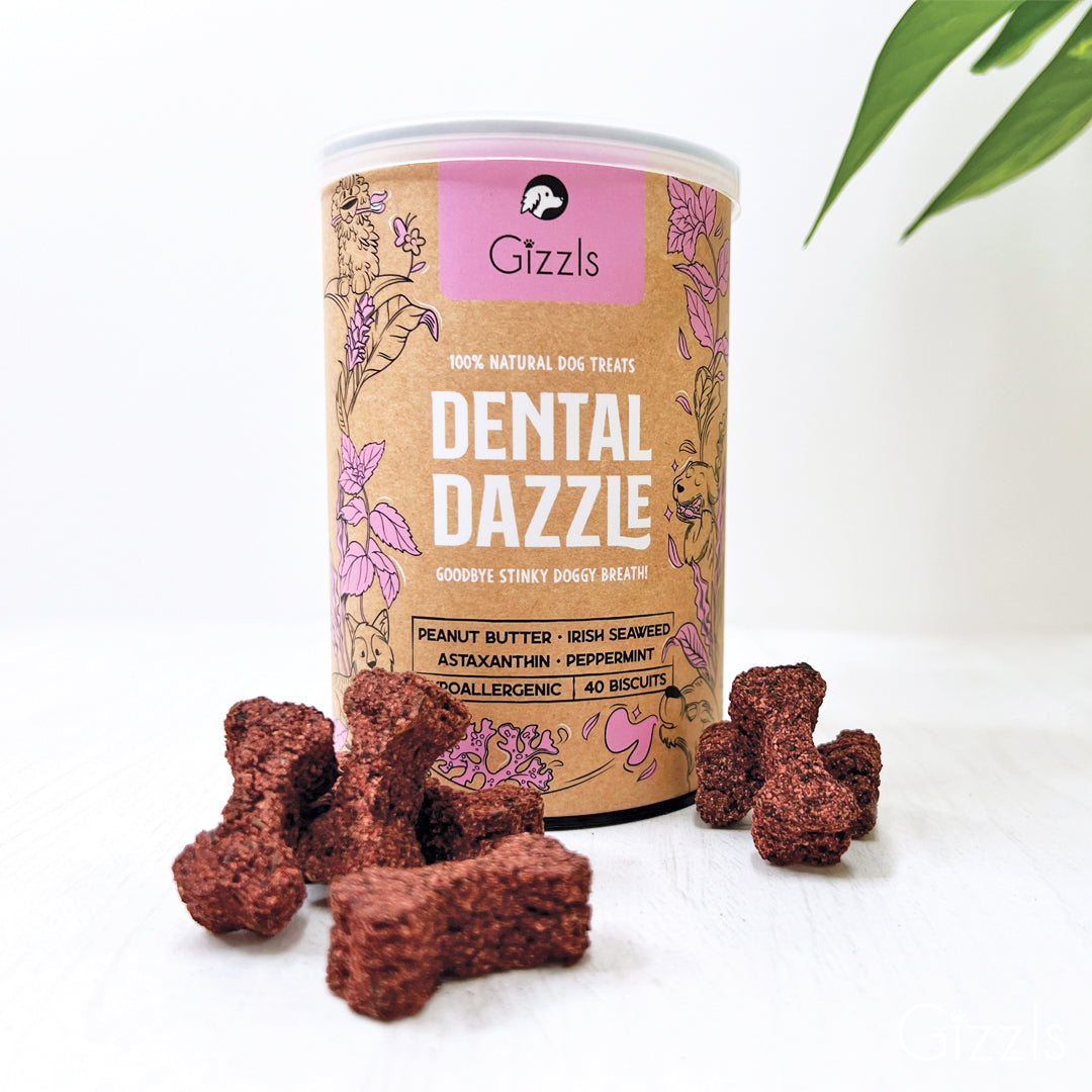 Close-up of Gizzls Dental Dazzle tub with reddish-brown bone-shaped biscuits