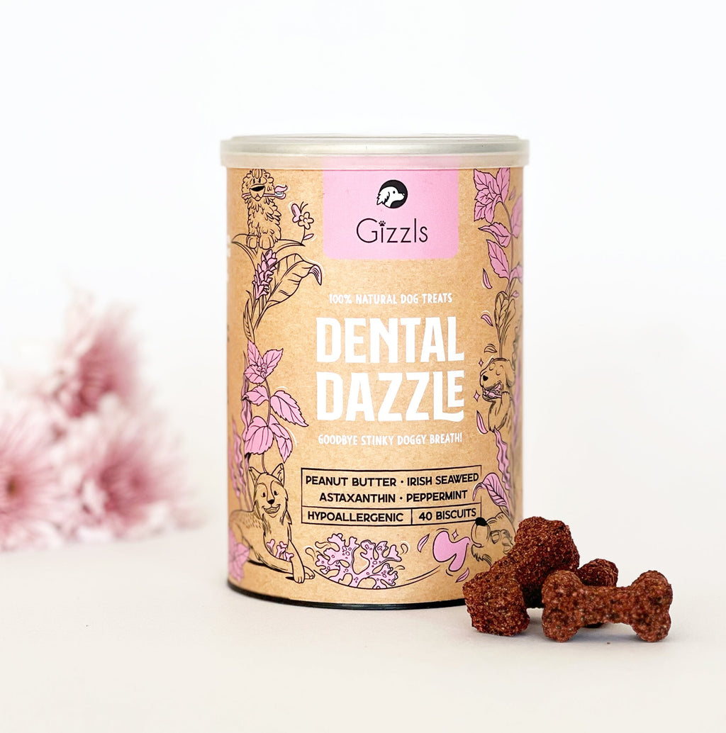 Gizzls Dental Dazzle tin with bone-shaped biscuits and pink flowers, part of The Wellness Bundle